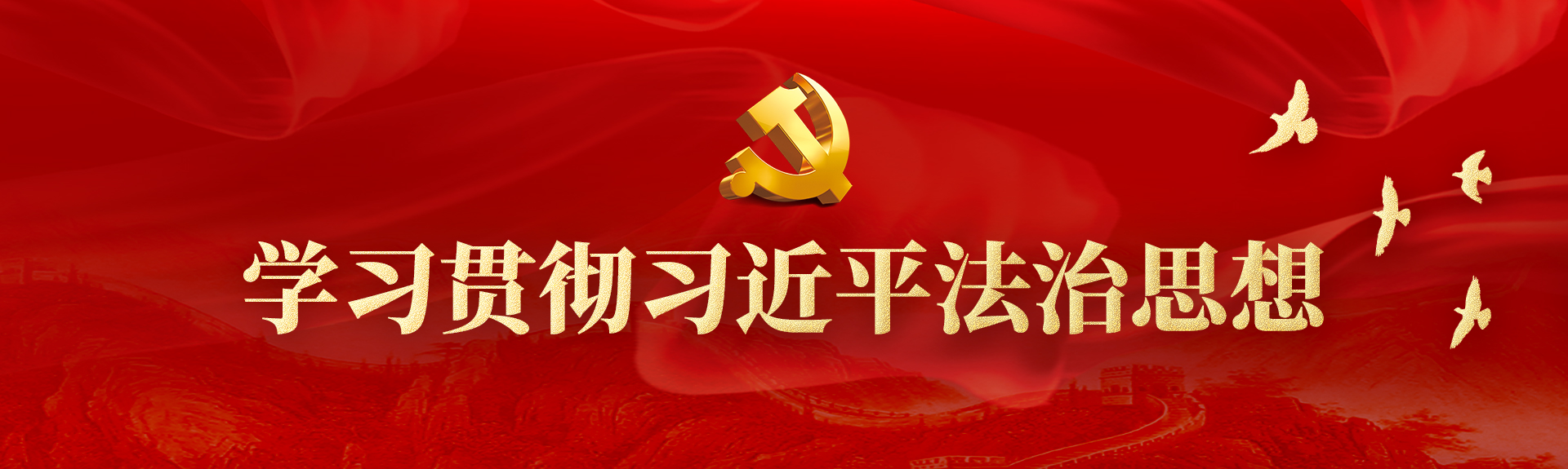 學習貫徹習近平法治思想 學習貫徹習近平法治思想